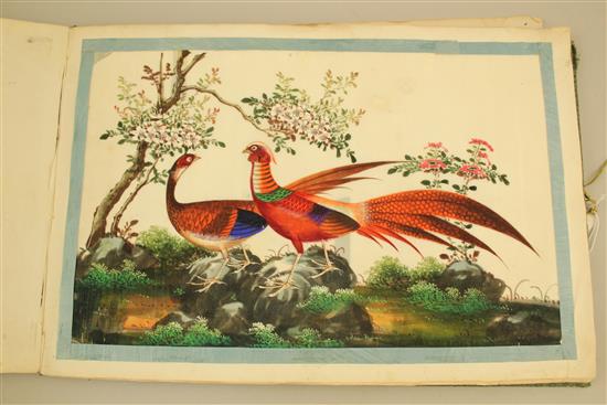 A Chinese album of eight pith paintings of birds and two of a procession of boats, 19th century, 25 x 37cm